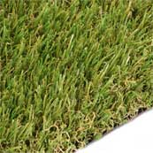 Meadows Grass