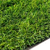 Newstead Grass