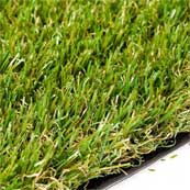 Rufford Grass