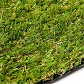 Sherwood Grass